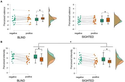 Perception and discrimination of real-life emotional vocalizations in early blind individuals